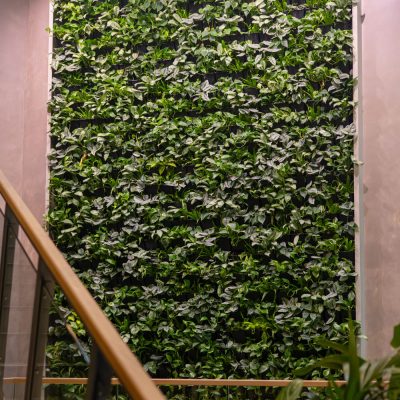 Be-Max-Office-Concepts-plantenwand-plant-groenwand-groen-kantoor-biophilic-design