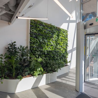 Be-Max-Office-Concepts-plantenwand-plant-groenwand-groen-kantoor-biophilic-design