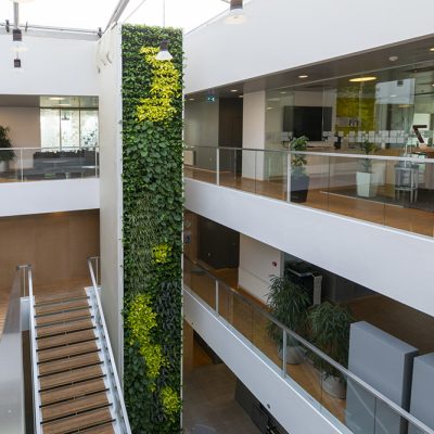 Be-Max-Office-Concepts-plantenwand-plant-groenwand-groen-kantoor-biophilic-design