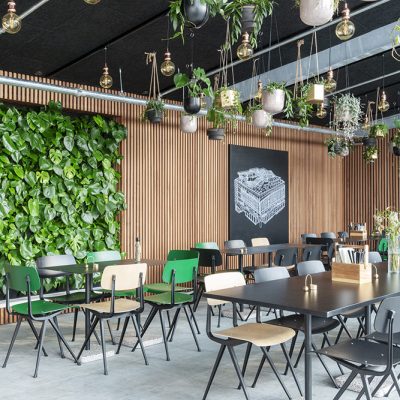 Be-Max-Office-Concepts-plantenwand-plant-groenwand-groen-kantoor-biophilic-design