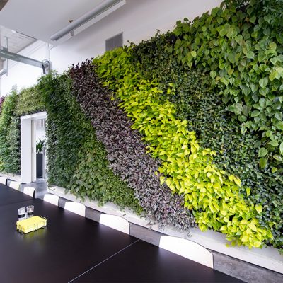 Be-Max-Office-Concepts-plantenwand-plant-groenwand-groen-kantoor-biophilic-design