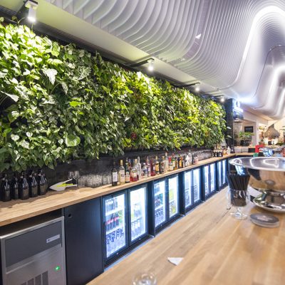 Be-Max-Office-Concepts-plantenwand-plant-groenwand-groen-kantoor-biophilic-design