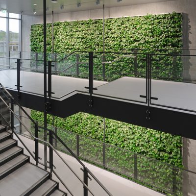 Be-Max-Office-Concepts-plantenwand-plant-groenwand-groen-kantoor-biophilic-design
