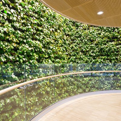 Be-Max-Office-Concepts-plantenwand-plant-groenwand-groen-kantoor-biophilic-design