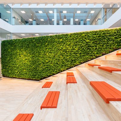 Be-Max-Office-Concepts-plantenwand-plant-groenwand-groen-kantoor-biophilic-design