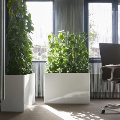 Be-Max-Office-Concepts-prestige-plantenbak-plant-pot-groen-bloempot-bak-kantoor-biophilic-design