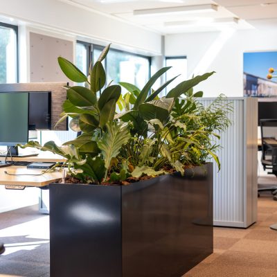 Be-Max-Office-Concepts-prestige-plantenbak-plant-pot-groen-bloempot-bak-kantoor-biophilic-design