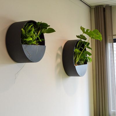 Be-Max-Office-Concepts-ronde-plantbak-wand-wandbak-plantenwand-plantenpot-muur