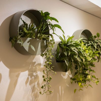 Be-Max-Office-Concepts-ronde-plantbak-wand-wandbak-plantenwand-plantenpot-muur