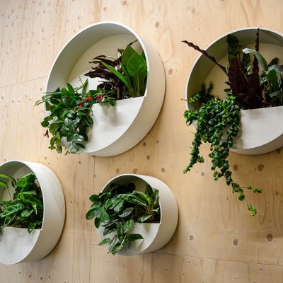 Be-Max-Office-Concepts-ronde-plantbak-wand-wandbak-plantenwand-plantenpot-muur