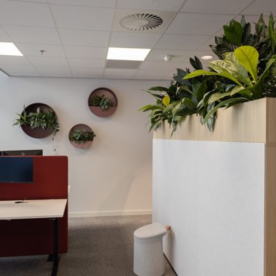 Be-Max-Office-Concepts-ronde-plantbak-wand-wandbak-plantenwand-plantenpot-muur