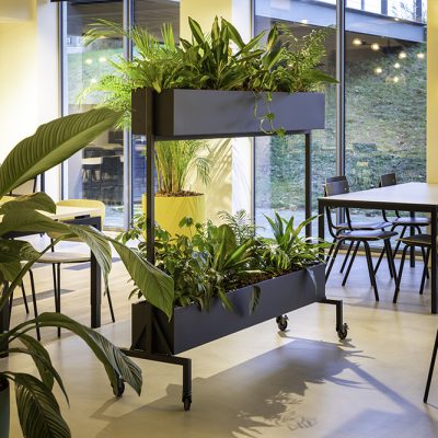 Be-Max-Office-Concepts-roomdivider-plantenwand-divider-plant-groenwand-scheidingwand