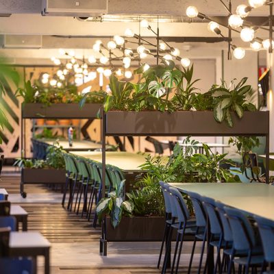 Be-Max-Office-Concepts-roomdivider-plantenwand-divider-plant-groenwand-scheidingwand