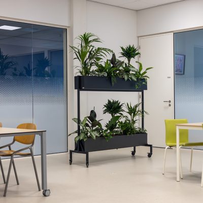 Be-Max-Office-Concepts-roomdivider-plantenwand-divider-plant-groenwand-scheidingwand
