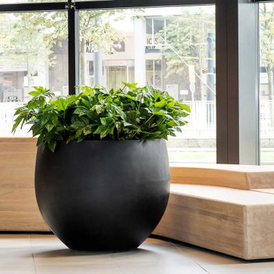 Be-Max-Office-Concepts-urban-jumbo-orb-ronde-plantenbak-plant-pot-groen-bloempot-bak