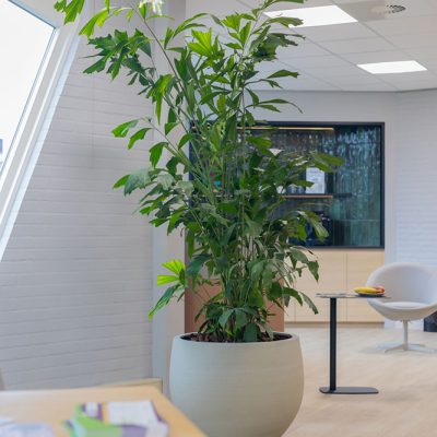 Be-Max-Office-Concepts-urban-jumbo-orb-ronde-plantenbak-plant-pot-groen-bloempot-bak