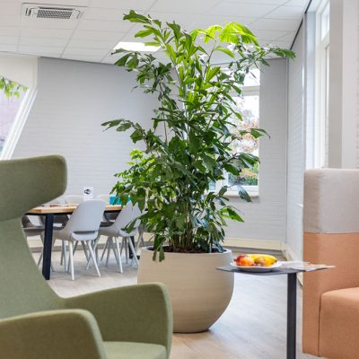 Be-Max-Office-Concepts-urban-jumbo-orb-ronde-plantenbak-plant-pot-groen-bloempot-bak