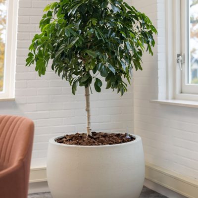 Be-Max-Office-Concepts-urban-jumbo-orb-ronde-plantenbak-plant-pot-groen-bloempot-bak