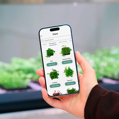 Be-Max-Office-Concepts-vegger-vertical-farming-kweken-kweeksysteem-plant-groen-moestuin