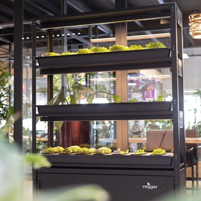 Be-Max-Office-Concepts-vegger-vertical-farming-kweken-kweeksysteem-plant-groen-moestuin