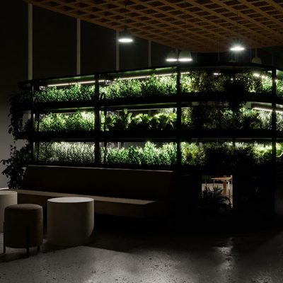 Be-Max-Office-Concepts-vegger-vertical-farming-kweken-kweeksysteem-plant-groen-moestuin