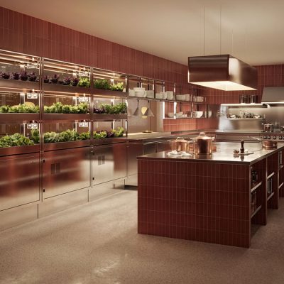 Be-Max-Office-Concepts-vegger-vertical-farming-kweken-kweeksysteem-plant-groen-moestuin
