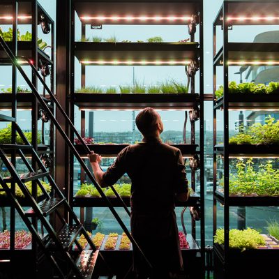 Be-Max-Office-Concepts-vegger-vertical-farming-kweken-kweeksysteem-plant-groen-moestuin