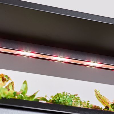 Be-Max-Office-Concepts-vegger-vertical-farming-kweken-kweeksysteem-plant-groen-moestuin