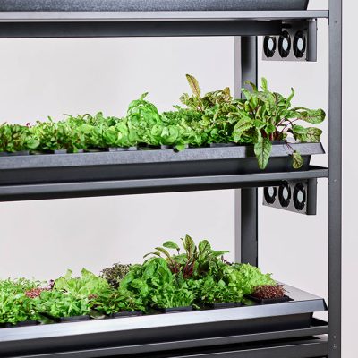 Be-Max-Office-Concepts-vegger-vertical-farming-kweken-kweeksysteem-plant-groen-moestuin