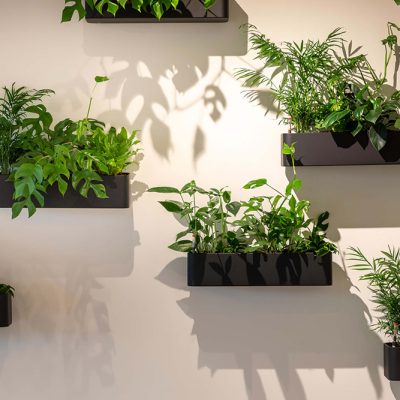Be-Max-Office-Concepts-wandplantenbak-wand-plant-pot-wandplant-muur