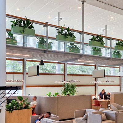 Be-Max-Office-Concepts-wandplantenbak-wand-plant-pot-wandplant-muur