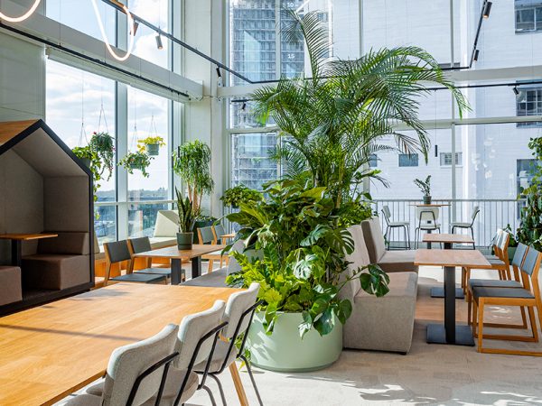 Be-Max-actie-interieur-professional-architect-ontwerper-biophilic-design