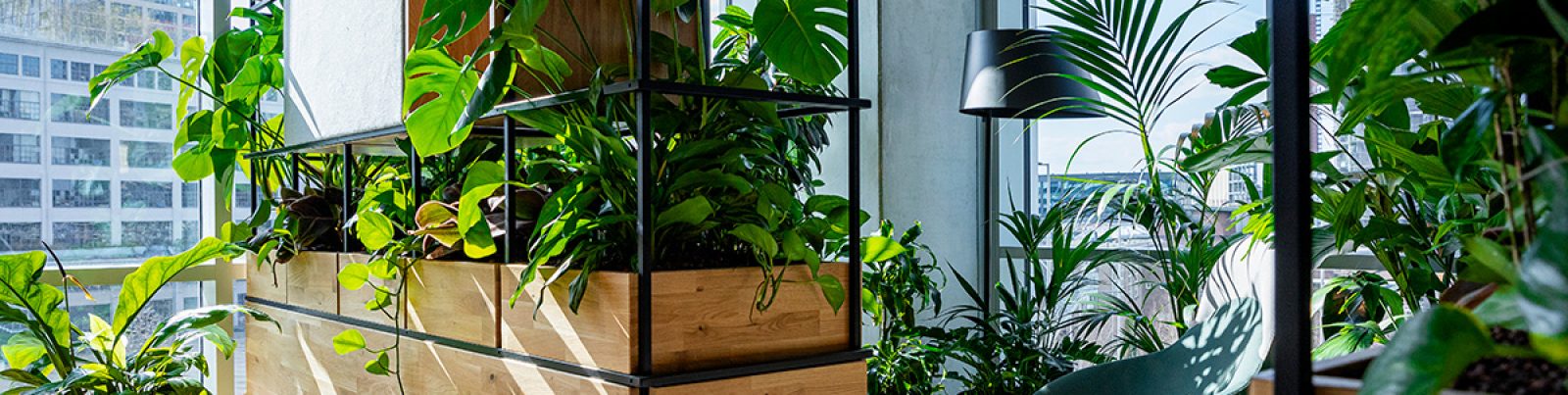 Be-Max-actie-interieur-professional-architect-ontwerper-biophilic-design
