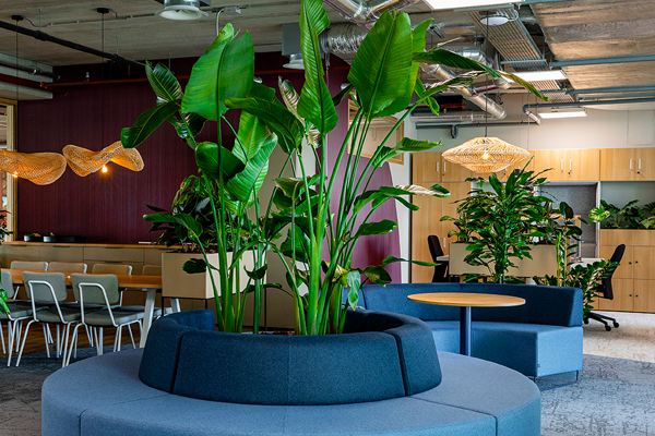 Be-Max-klantcase-klantreview-kantoorinrichting-biophilicdesign-biophilic-design-biofilia-kantoorinterieur-groen-kantoor-natuur