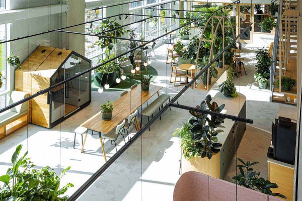 Be-Max-showroom-biophilic-design-kantoorinrichting-biofilia-interieur-kantoorinterieur-kantooroplossing-groen-natuur-projectinrichting-project-kantoorinspiratie-welzijn-kantooromgeving