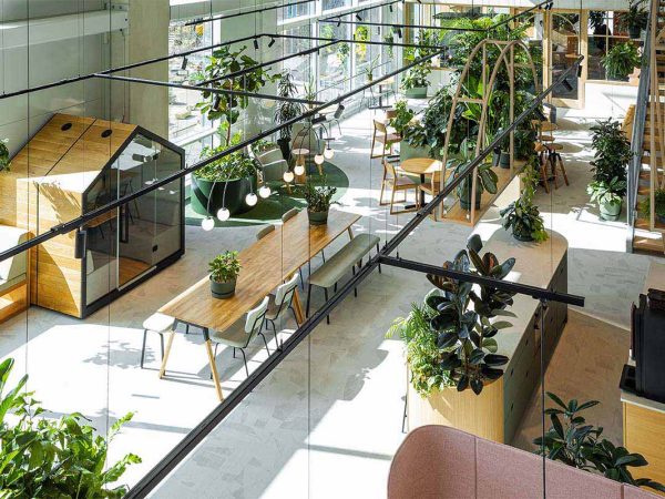 Be-Max-showroom-biophilic-design-kantoorinrichting-biofilia-interieur-kantoorinterieur-kantooroplossing-groen-natuur-projectinrichting-project-kantoorinspiratie-welzijn-kantooromgeving