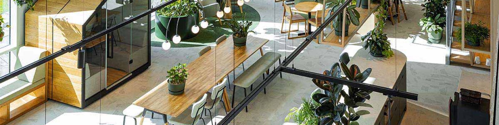 Be-Max-showroom-biophilic-design-kantoorinrichting-biofilia-interieur-kantoorinterieur-kantooroplossing-groen-natuur-projectinrichting-project-kantoorinspiratie-welzijn-kantooromgeving