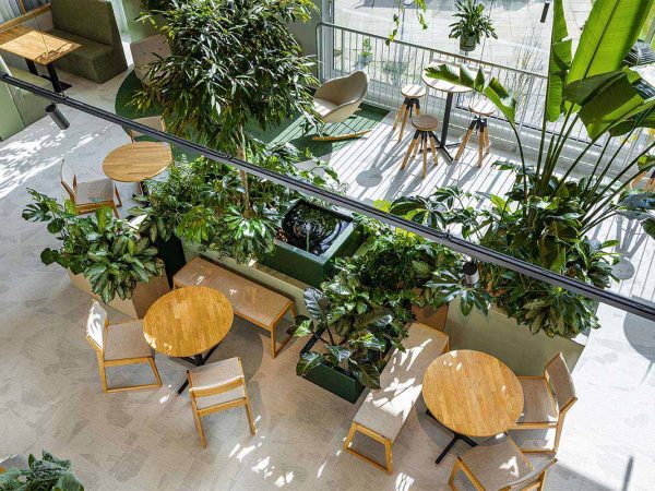 Be-Max-showroom-biophilic-design-kantoorinrichting-biofilia-interieur-kantoorinterieur-kantooroplossing-groen-natuur-projectinrichting-project-kantoorinspiratie-welzijn-kantooromgeving
