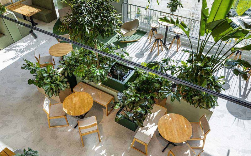 Be-Max-showroom-biophilic-design-kantoorinrichting-biofilia-interieur-kantoorinterieur-kantooroplossing-groen-natuur-projectinrichting-project-kantoorinspiratie-welzijn-kantooromgeving Be-Max-showroom-biophilic-design-kantoorinrichting-biofilia-interieur-kantoorinterieur-kantooroplossing-groen-natuur-projectinrichting-project-kantoorinspiratie-welzijn-kantooromgeving