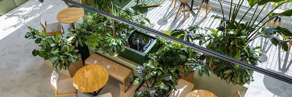 Be-Max-showroom-biophilic-design-kantoorinrichting-biofilia-interieur-kantoorinterieur-kantooroplossing-groen-natuur-projectinrichting-project-kantoorinspiratie-welzijn-kantooromgeving