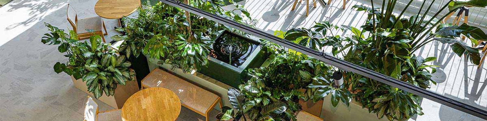 Be-Max-showroom-biophilic-design-kantoorinrichting-biofilia-interieur-kantoorinterieur-kantooroplossing-groen-natuur-projectinrichting-project-kantoorinspiratie-welzijn-kantooromgeving