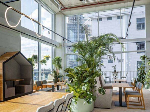 Biophilic Design Showroom