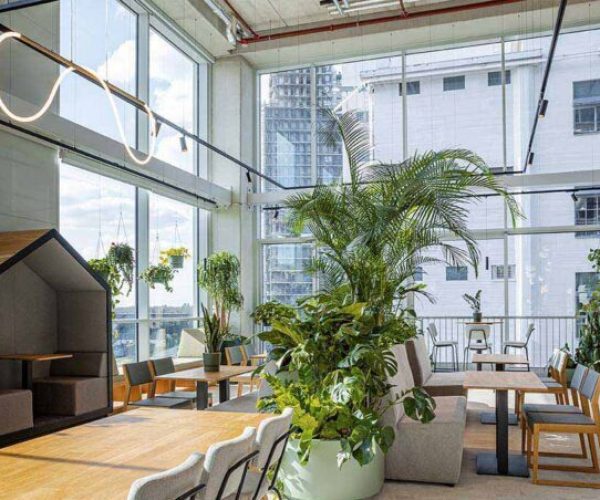 Biophilic Design Showroom