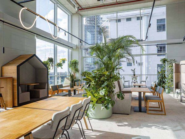 Be-Max-showroom-biophilic-design-kantoorinrichting-biofilia-interieur-kantoorinterieur-kantooroplossing-groen-natuur-projectinrichting-project-kantoorinspiratie-welzijn-kantooromgeving
