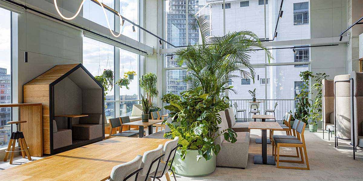 Be-Max-showroom-biophilic-design-kantoorinrichting-biofilia-interieur-kantoorinterieur-kantooroplossing-groen-natuur-projectinrichting-project-kantoorinspiratie-welzijn-kantooromgeving