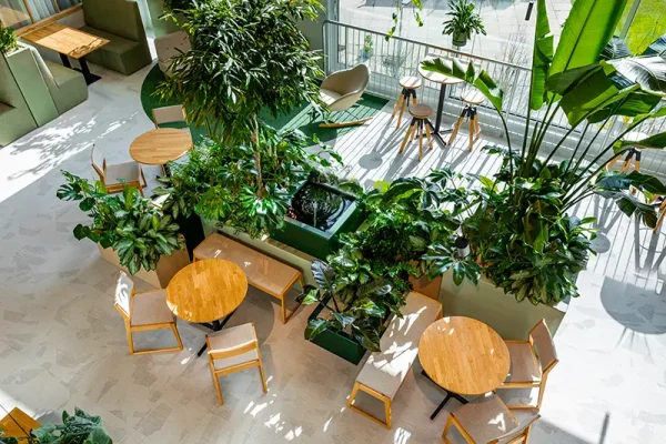 Be-max biophilic design interieur en kantoorinrichting expert biofilia inrichting