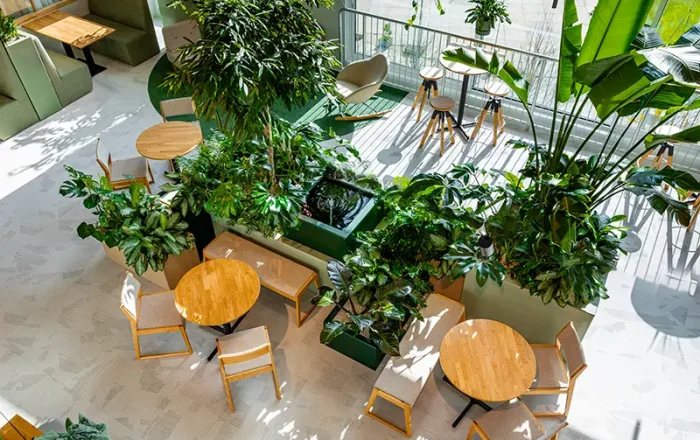 Be-max biophilic design interieur en kantoorinrichting expert biofilia inrichting