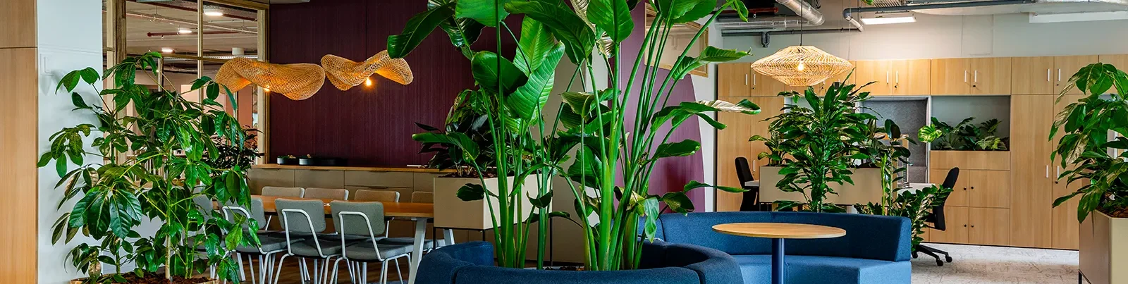 Be-max biophilic design interieur en kantoorinrichting expert in groen en inrichting