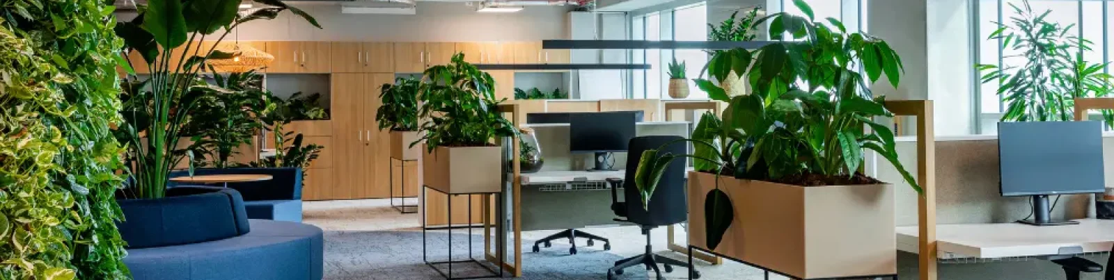 Biophilic kantoorinrichting