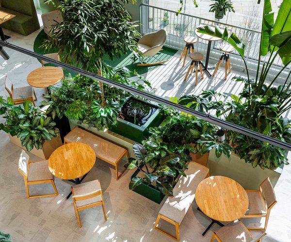 be-max-biophilic-design-showroom-eindhoven-biofilie-natuur-interieur-kantoorinrichting